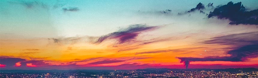 伊川茶虫网_伊川品茶